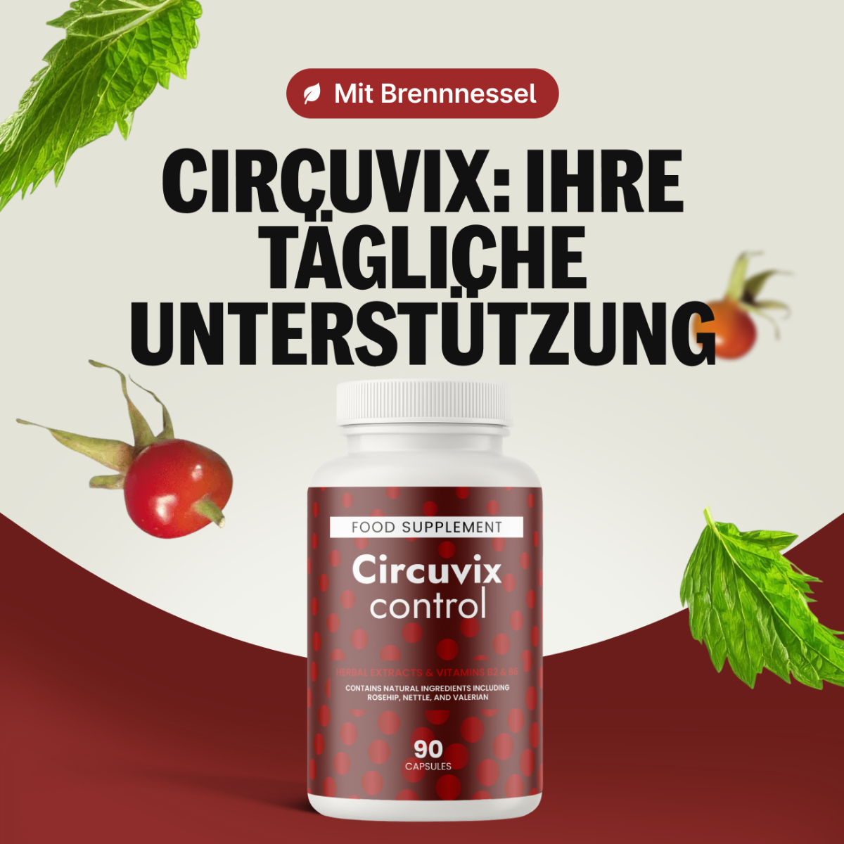 Circuvix Control