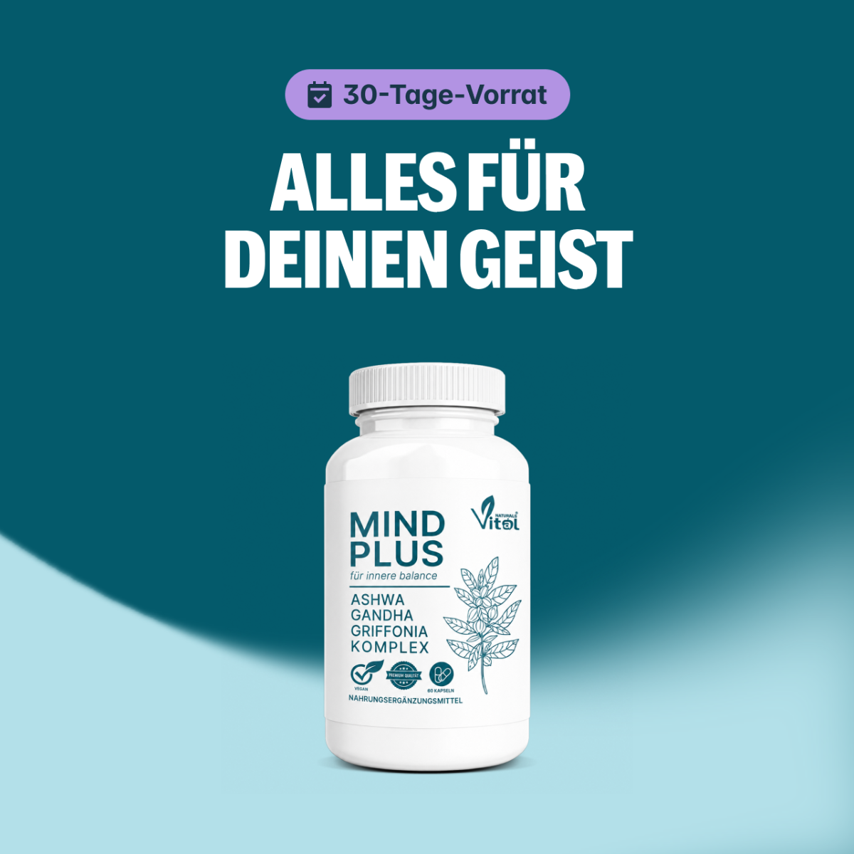 MindPlus