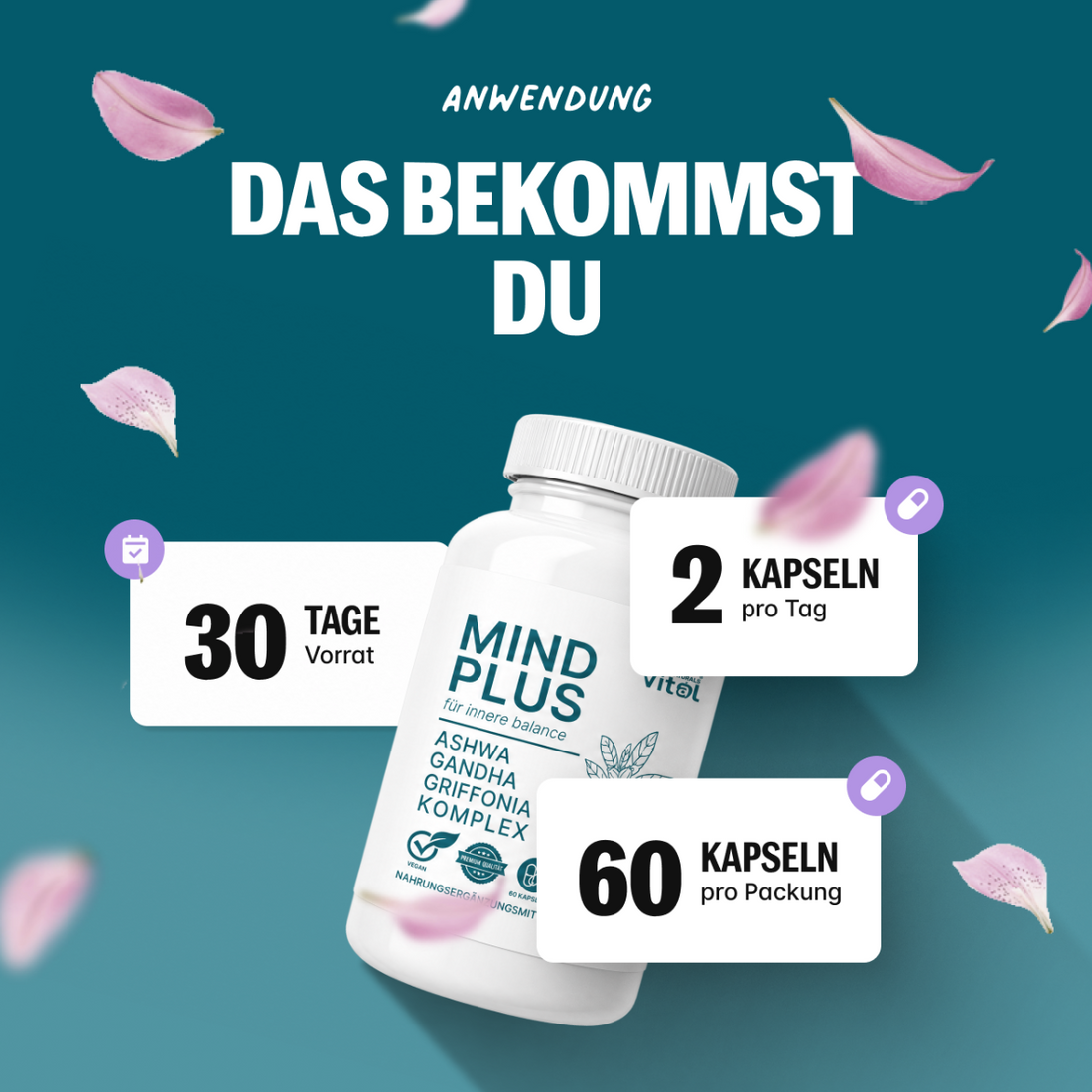MindPlus